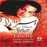 دانلود آهنگ امین جلیلیان یا رها کو