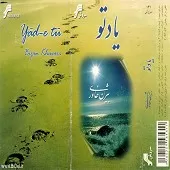 دانلود آهنگ بیژن خاوری در آرزوی باران