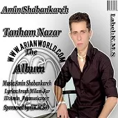 دانلود آهنگ امین شبانکاره تو رو می خوام