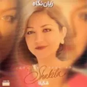 دانلود آهنگ  درویش { کیفیت عالی MP3 }