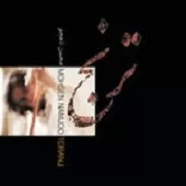 دانلود آهنگ محسن نامجو جره باز