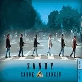 دانلود آهنگ گروه سندی فرصت دوباره دانلود آهنگ گروه سندی فرصت دوباره