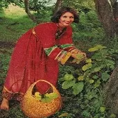 دانلود آهنگ نسرين غربت