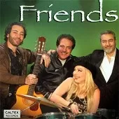 دانلود آهنگ ستار ایمیل (سعید محمدی)  آلبوم دوستان (