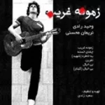 دانلود آهنگ گروه وحید رادی و نریمان محسنی نفرین دانلود آهنگ گروه وحید رادی و نریمان محسنی نفرین