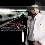 دانلود آهنگ امید صبری یاس بنفش دانلود آهنگ امید صبری یاس بنفش