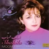 دانلود آهنگ  وادی عشق { با دو کیفیت 320 و 128 }