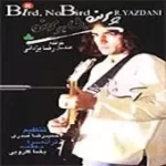 دانلود آهنگ رضا یزدانی غیر مجاز دانلود آهنگ رضا یزدانی غیر مجاز