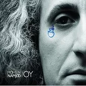 دانلود آهنگ محسن نامجو بی نظیر دانلود آهنگ محسن نامجو بی نظیر