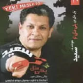 دانلود آهنگ سعید خوانساری گفتی (2) دانلود آهنگ سعید خوانساری گفتی (2)