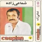 دانلود آهنگ حسن شماعی زاده بی کلام دانلود آهنگ حسن شماعی زاده بی کلام