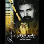 دانلود آهنگ جمشید عندلیبی ادامه نای خروشان