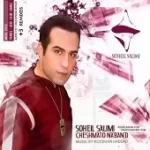 دانلود آهنگ سهیل سلیمی کاغذای بی صدا ( Hard Style Mix )