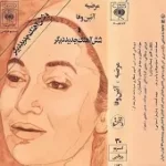 دانلود آهنگ  افسانه  شب سری به میخانه زدم