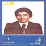 دانلود آهنگ نادر گلچین یار من اومد