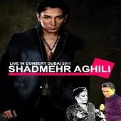 دانلود آهنگ شادمهر عقیلی ژینا دانلود آهنگ شادمهر عقیلی ژینا