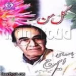 دانلود آهنگ ایرج بهار جوانئ ها دانلود آهنگ ایرج بهار جوانئ ها